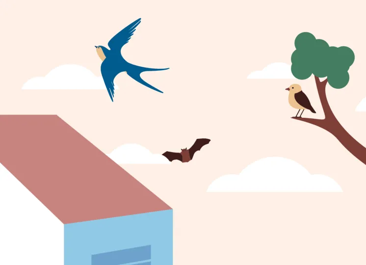 Huis met wolken op de achtergrond. Een vogel en een vleermuis in de lucht. En nog een vogel op een tak.