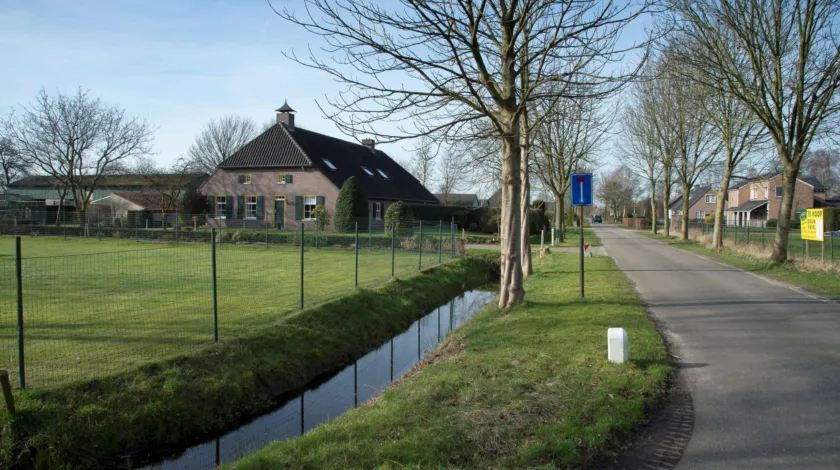 Boerderij aan een asfaltweg, de weg ligt tussen 2 rijen bomen