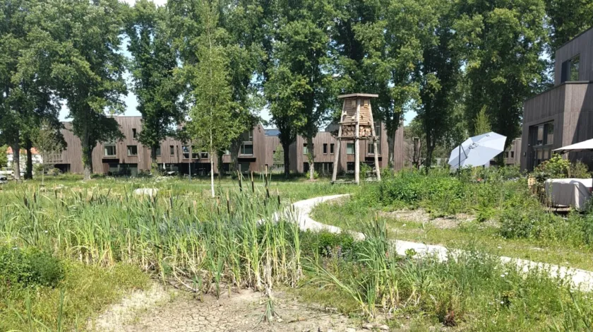 Grasveld met pad en biodiversiteitstoren en bomen op de achtergrond