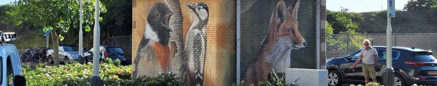Bij een parkeerterrein staat een transformatorhuisje, dat is beschilderd met twee vogels en een vos.